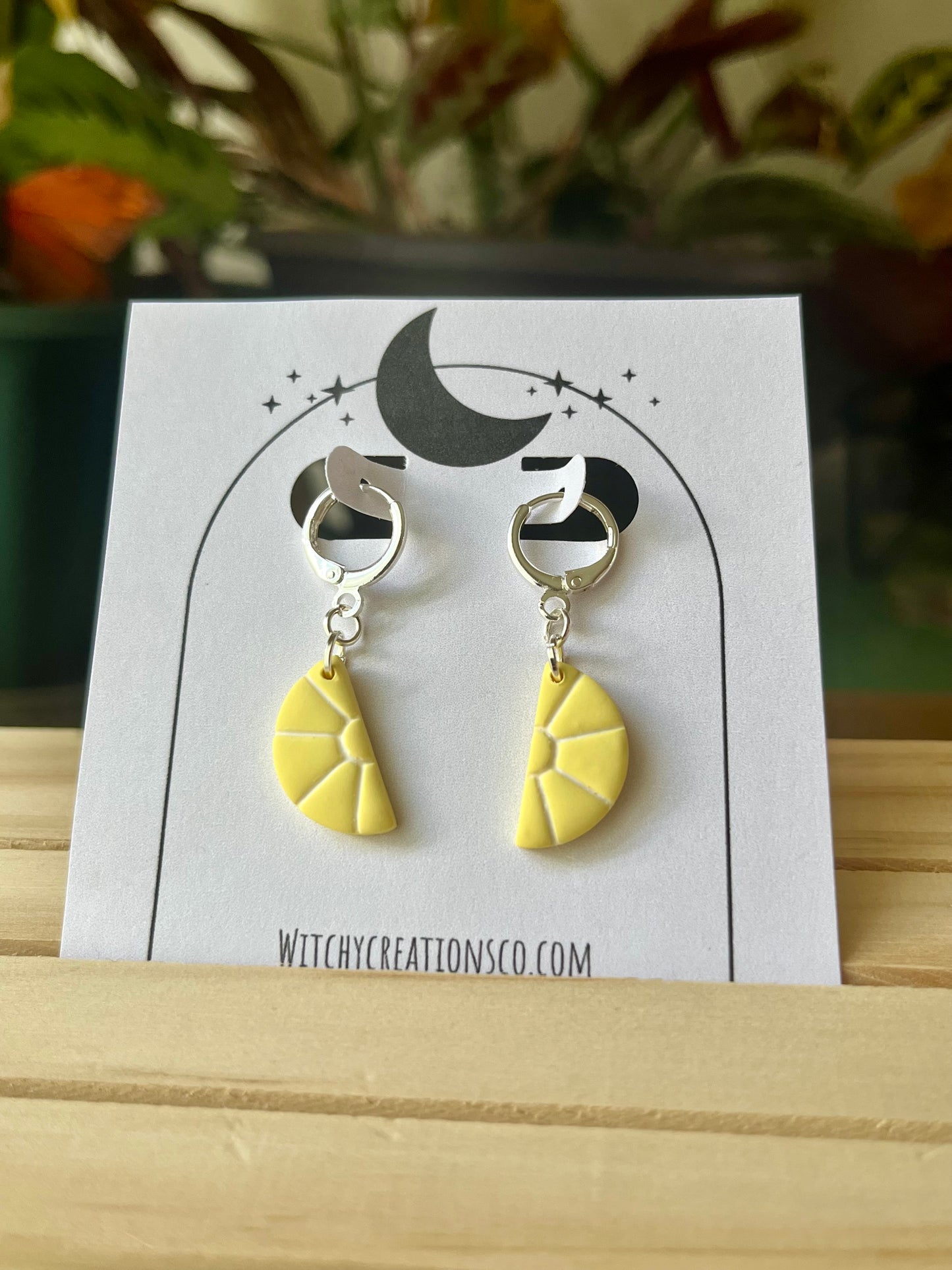 Citrus Fruit Lever-back Polymer Clay Dangle Earrings
